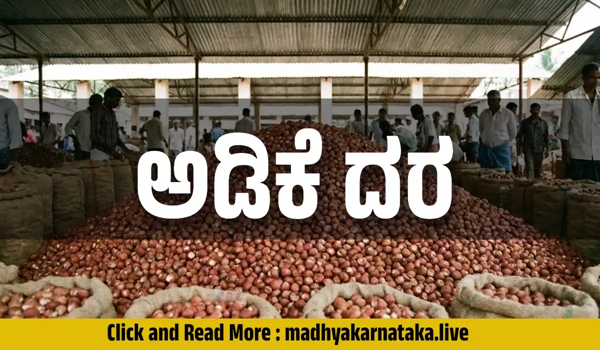 ಜನವರಿ 2026 ಅಡಿಕೆ ಮಾರುಕಟ್ಟೆ ವರದಿ: ಮಲೆನಾಡು- ಬಯಲುಸೀಮೆಯಲ್ಲಿ ಅಡಿಕೆ ದರ ಸ್ಥಿರ